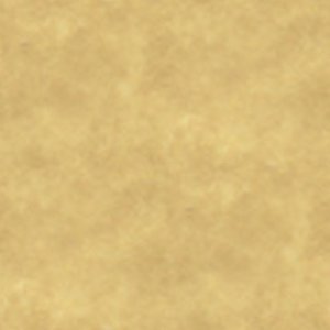 parchment texture.jpg
